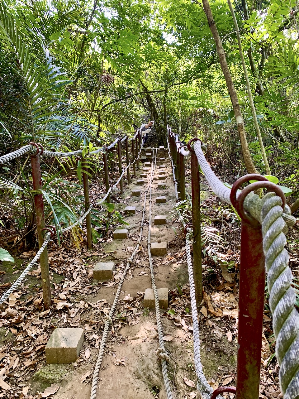 Hill climb blocks with rope railings