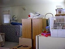 Head’em Up and Mov’em&nbsp;Out