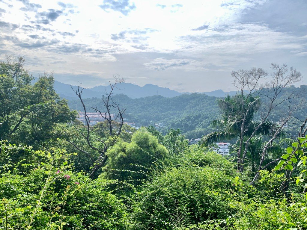 Not giving it&nbsp;all