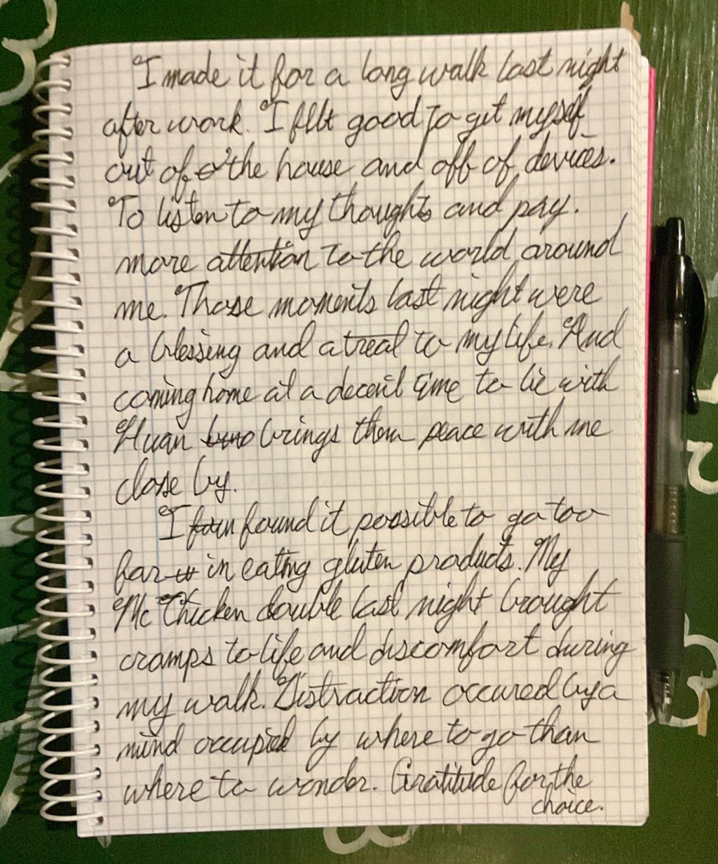 Mindful Walks and Life’s Gentle&nbsp;Reminders