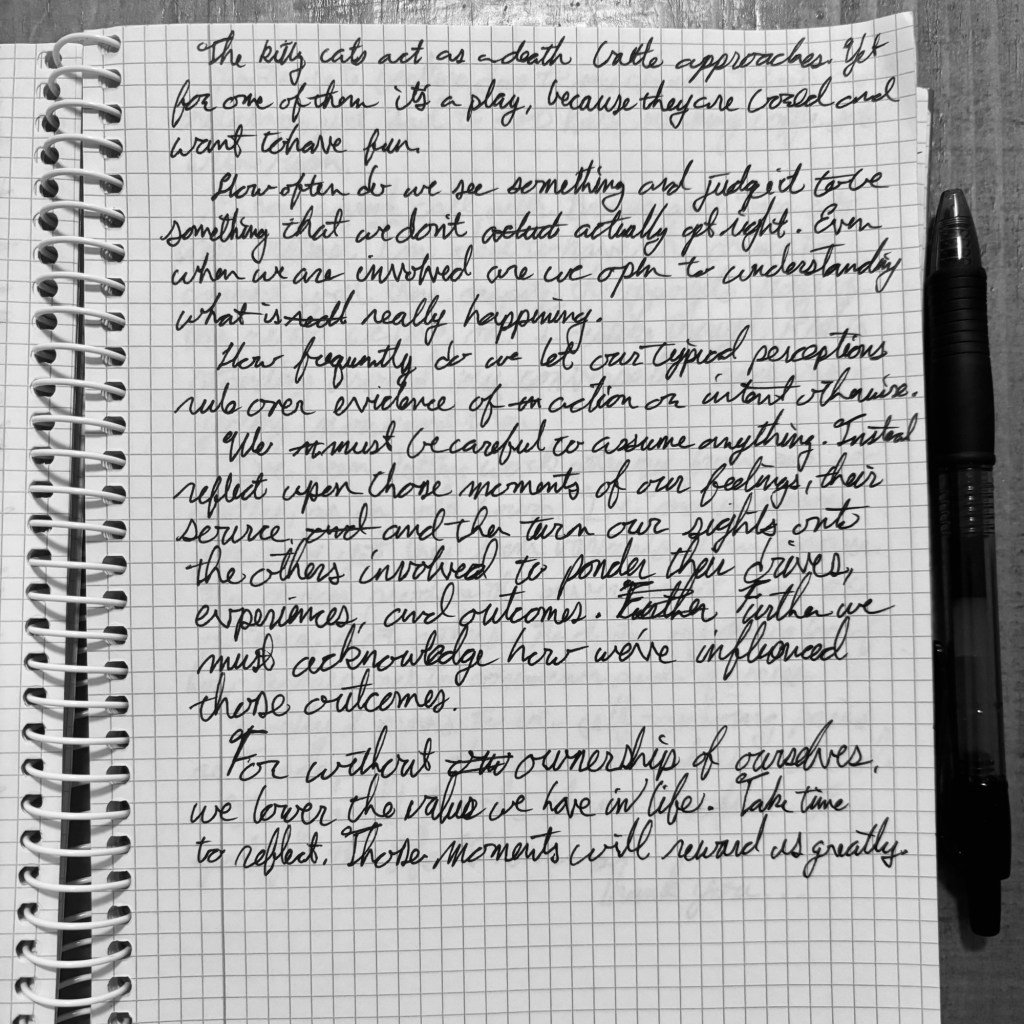 Seeing Beyond the Fight: Assumptions, Perception, and Ownership&nbsp;🐱💭